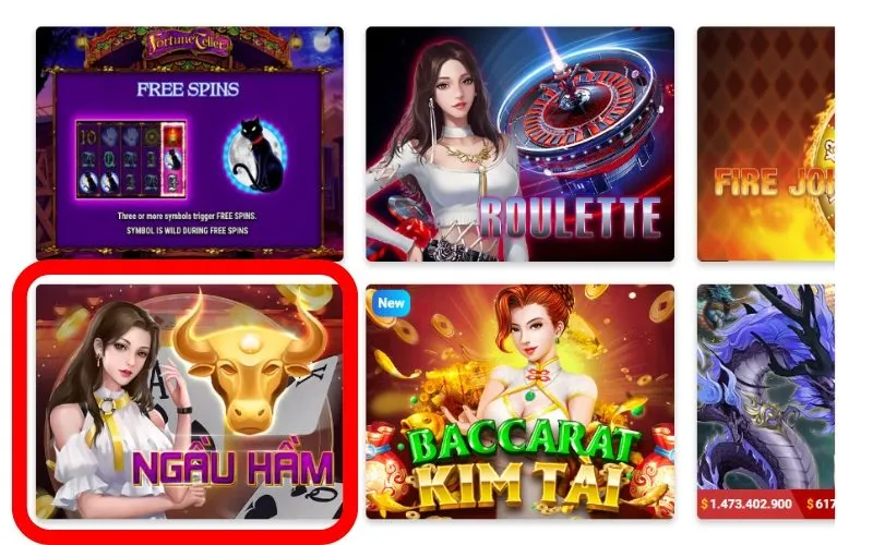 Thông tin quan trọng nhất về Ngầu hầm Vinbet